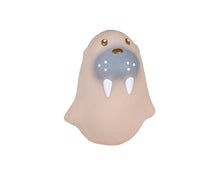 Load image into Gallery viewer, Tikiri Arctic Rubber Teething & Bath Toys