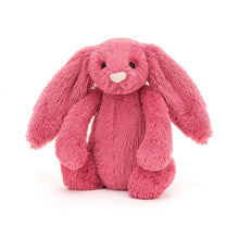 Load image into Gallery viewer, Jelly Cat Bunnies Medium
