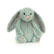 Load image into Gallery viewer, Jelly Cat Bunnies small
